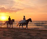 trouwen zonsondergang foto zee paardjes